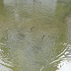 Gosciniec Kasztel